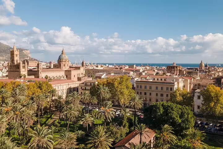Aerial view of Palermo's historic architecture and lush palm trees, perfect for a day trip to Segesta, Erice, and Salt Pans.