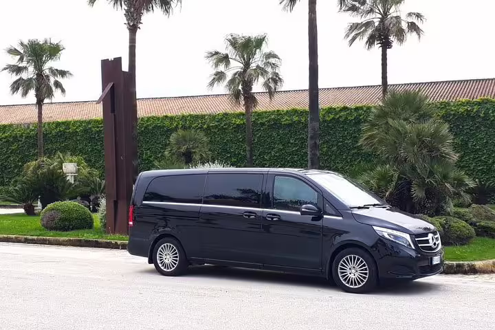 Private Mercedes minivan transfer from Palermo, offering comfortable transport to the Archaeological Park of Selinunte