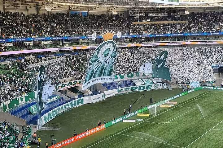 Palmeiras fans tifo and green-white crowd at Allianz Parque during São Paulo Palmeiras game experience tour