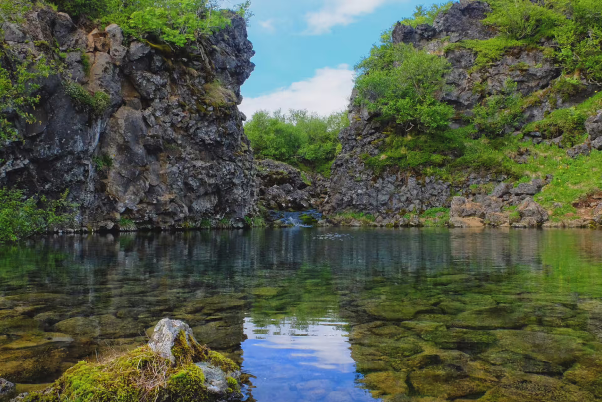 Paradísarlaut hollow