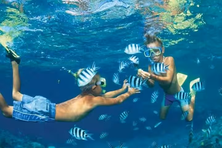 Snorkeling at Paradise Island Hurghada with crystal-clear Red Sea water and striped reef fish around swimmers