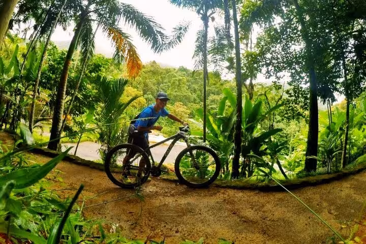 A cyclist navigates a lush tropical trail in Paraty, surrounded by vibrant green foliage and towering palm trees.