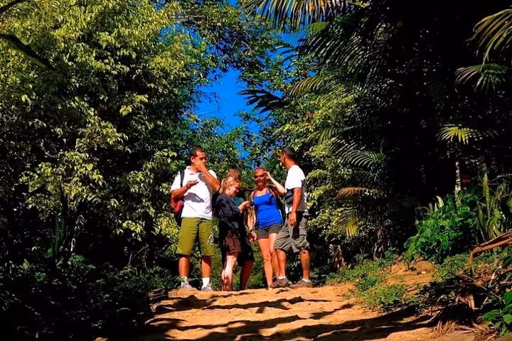 Group of tourists exploring the vibrant trails of Paraty's lush rainforest on a guided tour.