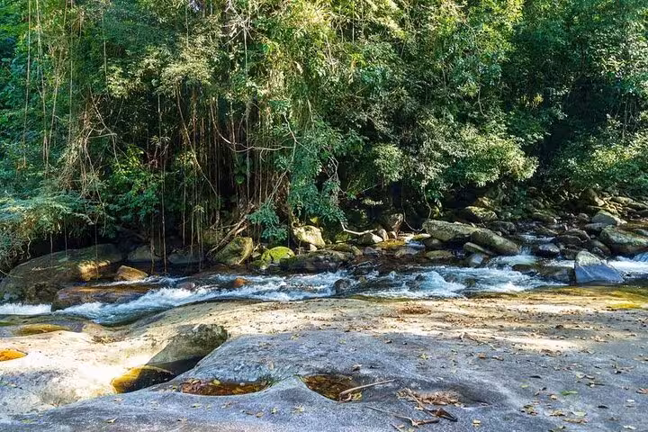 Rushing stream through dense forest, showcasing the natural beauty of Paraty's hiking trails.