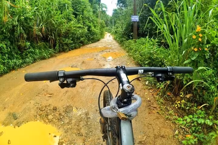 Mountain bike on a muddy trail surrounded by lush greenery in Paraty, ideal for a thrilling 2-hour guided tour adventure.