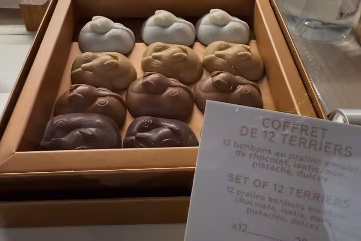 Assorted Paris artisan chocolates in gift box, sweet stop on food tour with wine, cheese and Napoleon tale