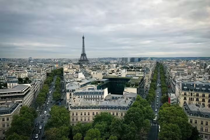 Aerial view of Paris cityscape with Eiffel Tower rising above Haussmann boulevards lined with trees