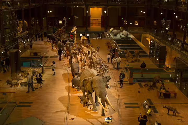 Visitors explore a Paris museum featuring impressive animal displays, perfect for family tours and engaging kids' activities.