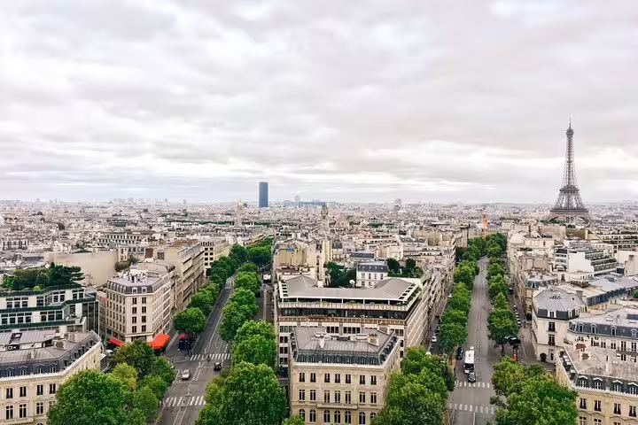 Aerial view of Paris cityscape with Eiffel Tower and tree-lined boulevards on a cloudy day