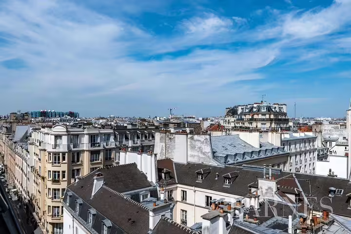 Panoramic rooftop view of Parisian Haussmann buildings and zinc rooftops under blue sky