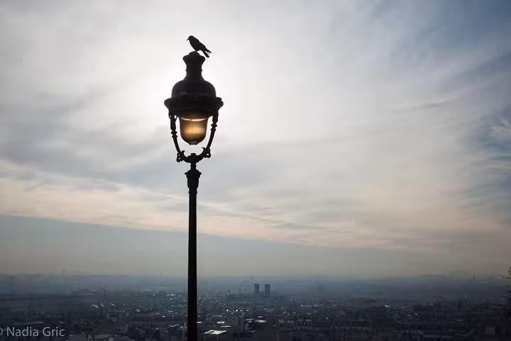 Vintage Paris streetlamp at sunrise over city skyline, ideal for a private half-day customized walking tour