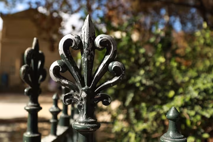 Close-up of Parisian wrought-iron fleur-de-lis fence detail seen on Napoleon III Haussmann Paris tour
