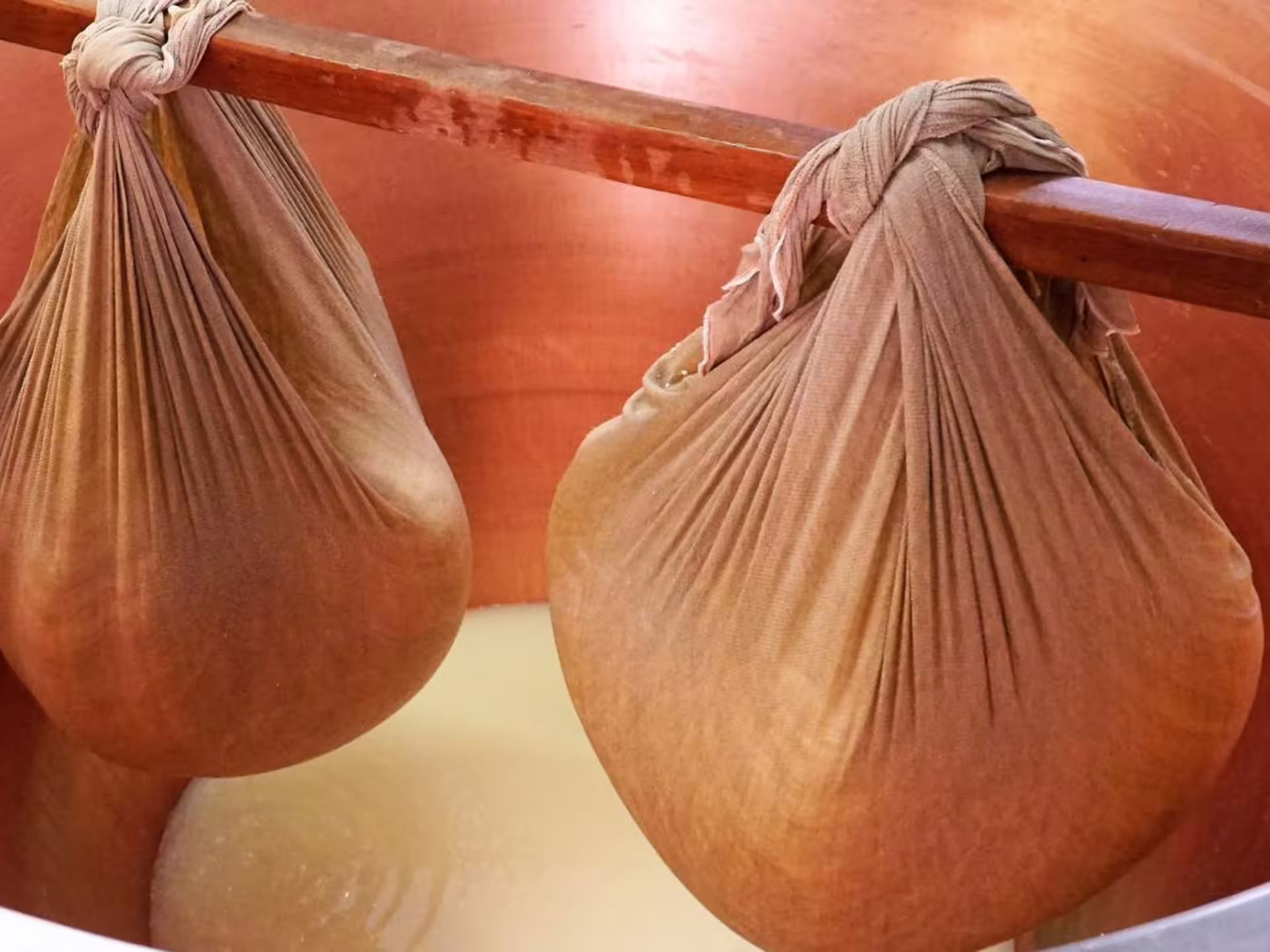 Freshly made Parmesan cheese curds draining in cloth bags at a factory near Parma, showcasing artisanal cheese-making.