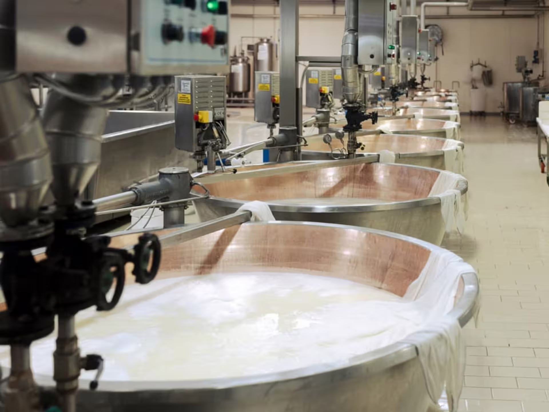Inside a Parmesan cheese factory near Parma with large copper vats of curd during the cheese-making process.
