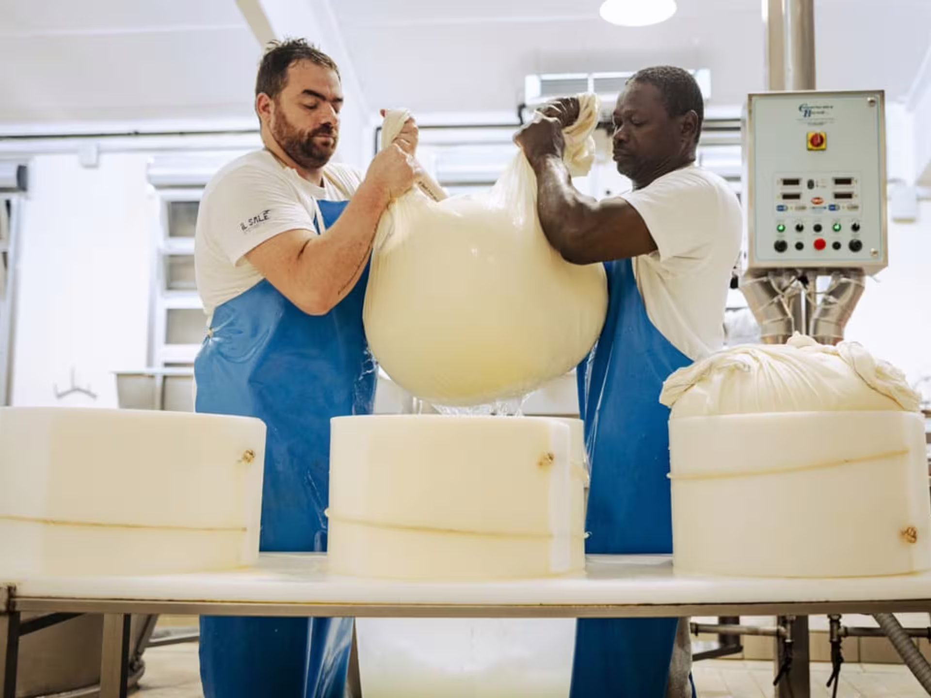 Two workers in a Parmesan cheese factory near Parma, handling fresh cheese during the production process.