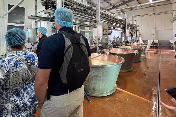 Visitors observing cheese production at a Parmesan factory, highlighting the authentic Italian cheese-making process.