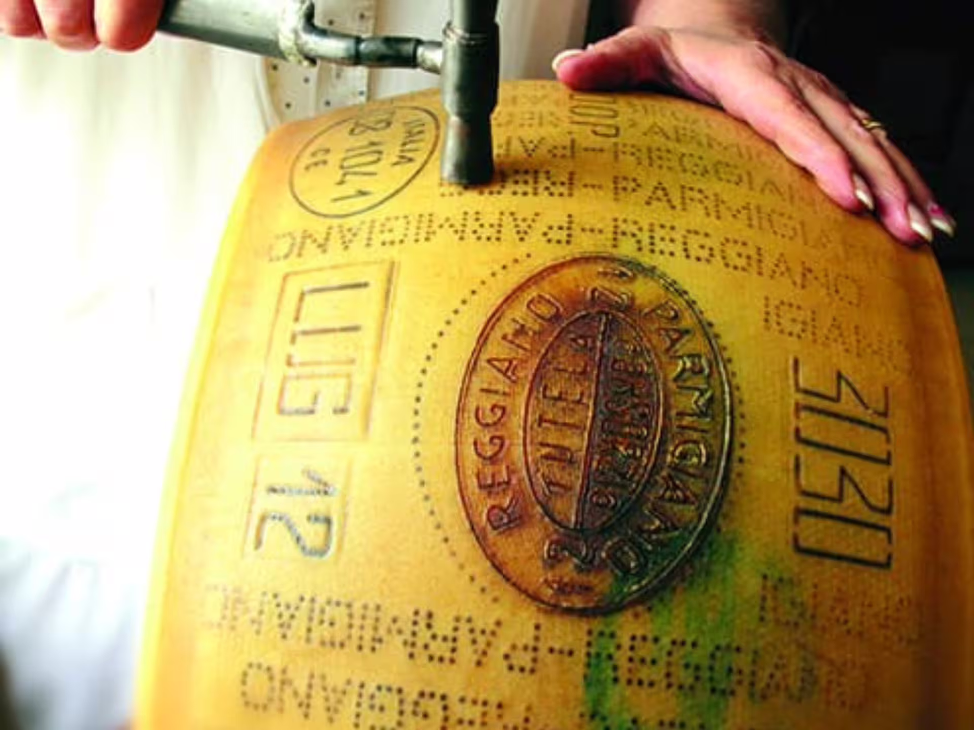 Close-up of a Parmesan cheese wheel being inspected and stamped with quality marks at a factory near Parma.