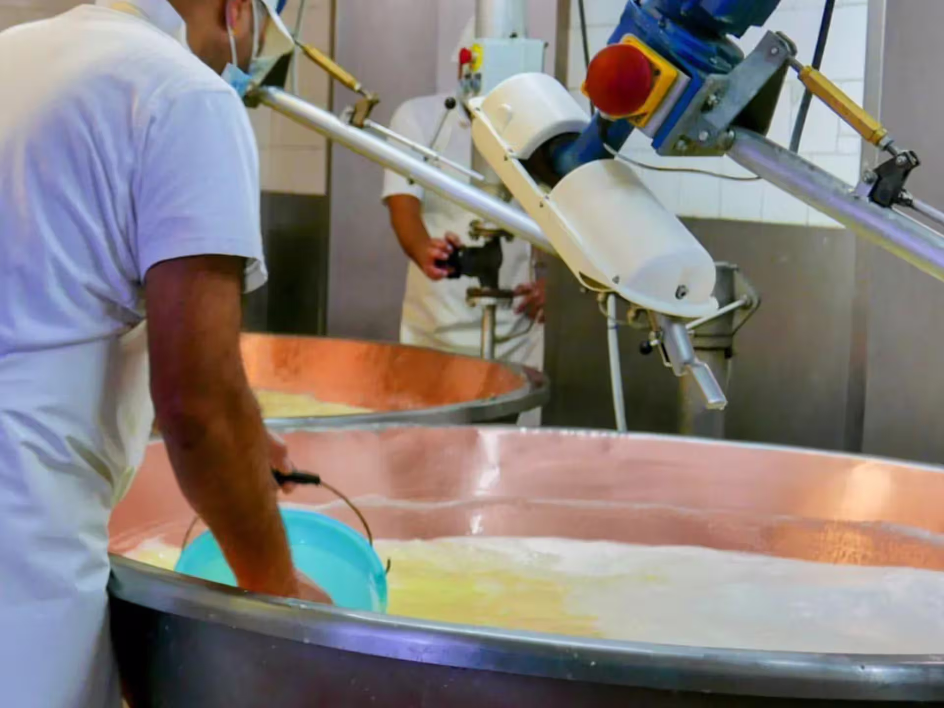 Cheesemakers in a Parma factory stirring milk in large vats, part of the traditional Parmesan cheese production process.