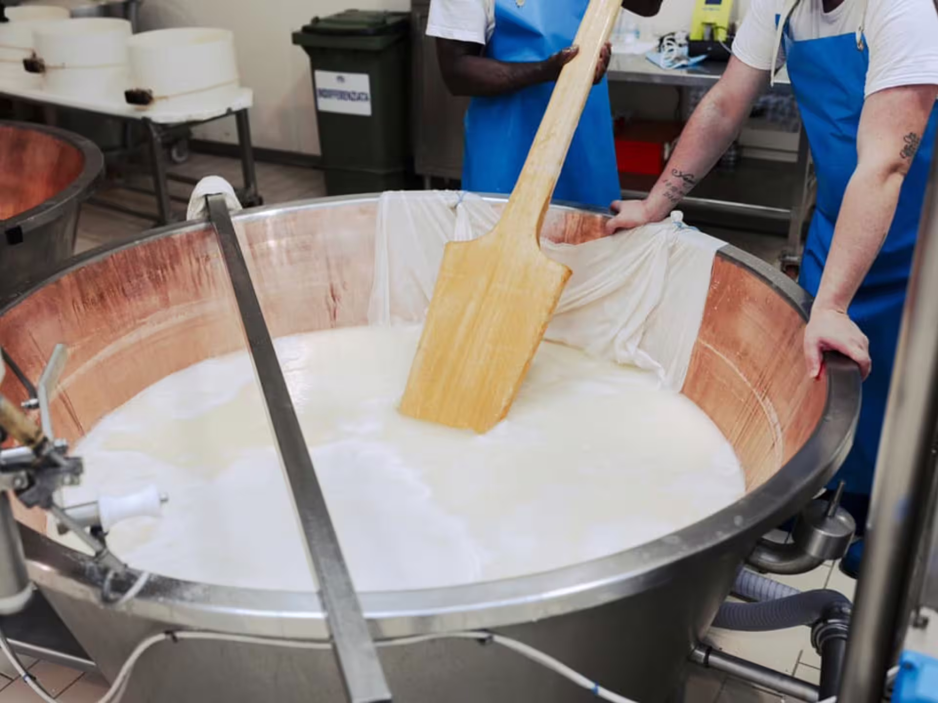 Cheesemakers stirring milk in large vat during Parmesan production tour near Parma.
