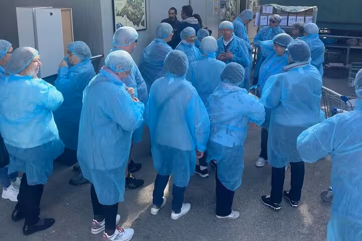 Tour group in blue protective gear preparing for Parmesan cheese factory visit in Bologna.