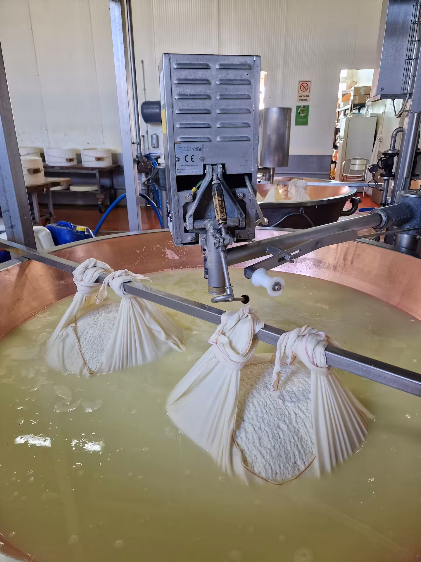Parmigiano cheese production in Bologna with curds wrapped in cloth, showcasing authentic Italian cheese-making process.