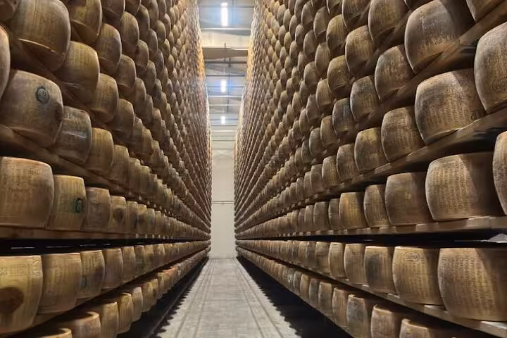 Endless rows of aging Parmigiano Reggiano wheels in a cheese warehouse, showcasing traditional Italian production.