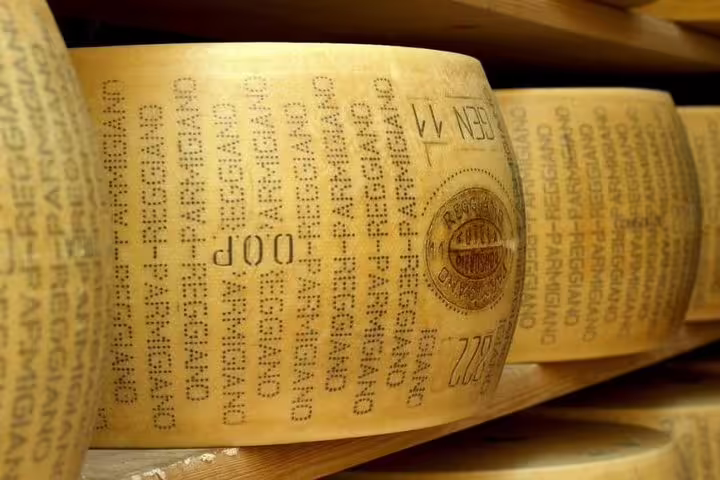 Wheels of Parmigiano-Reggiano cheese aging in a cellar, emphasizing the traditional process on the food tour.
