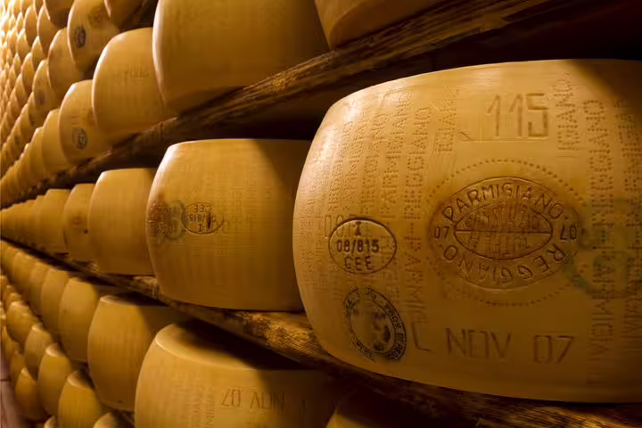 Close-up of aged Parmigiano-Reggiano cheese wheels with certification stamps in Parma factory tour.