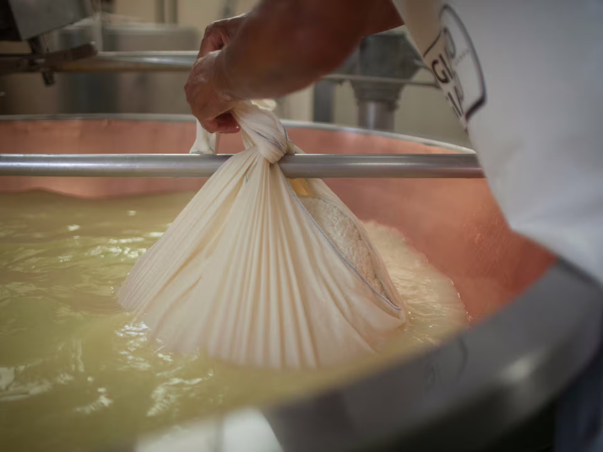 Cheesemaker gathers Parmigiano Reggiano curd in cloth at the dairy on a parmesan tour near Modena
