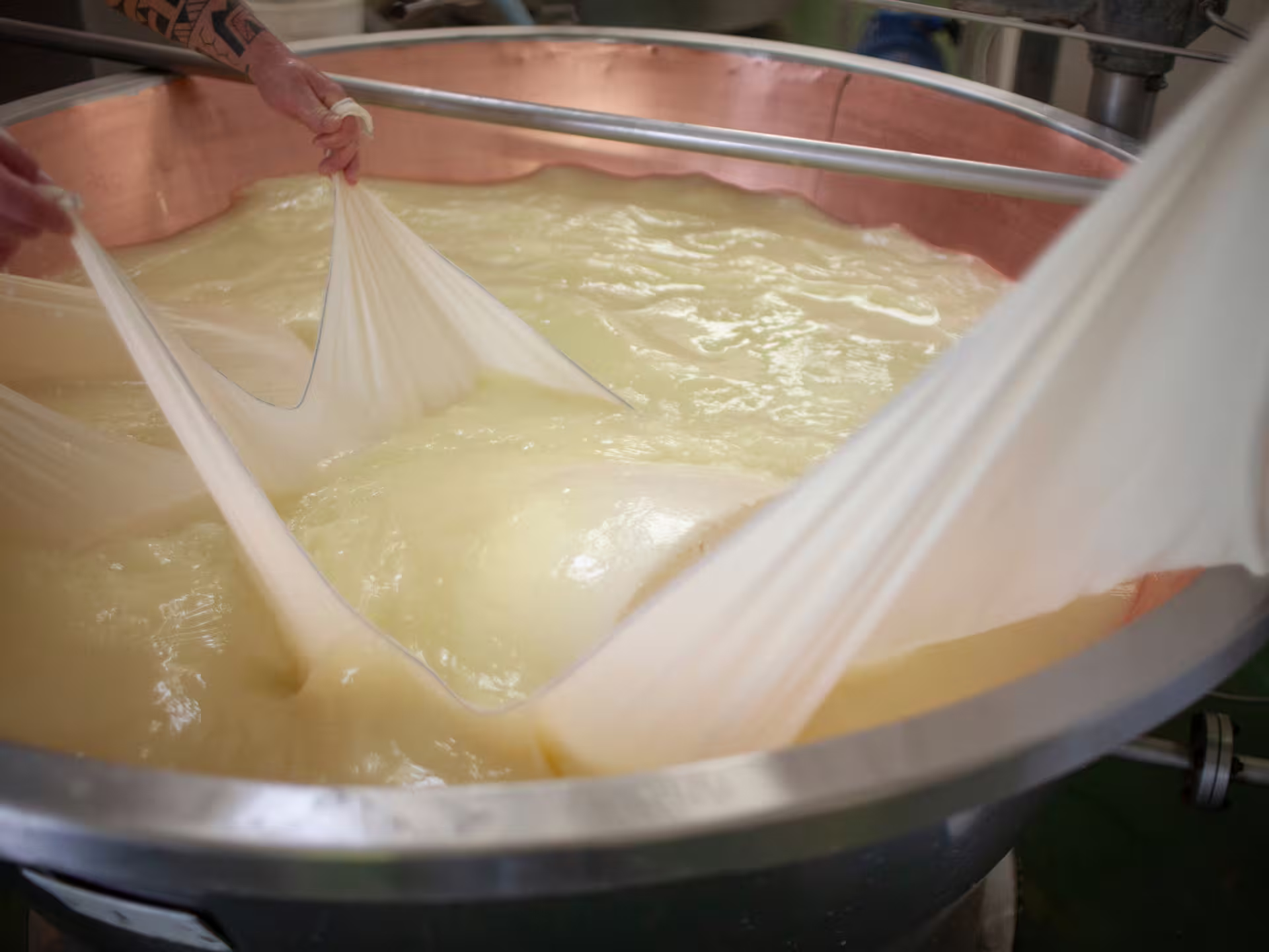 Curd is lifted in a copper vat during a Parmigiano Reggiano tour and tasting near Modena, Italy