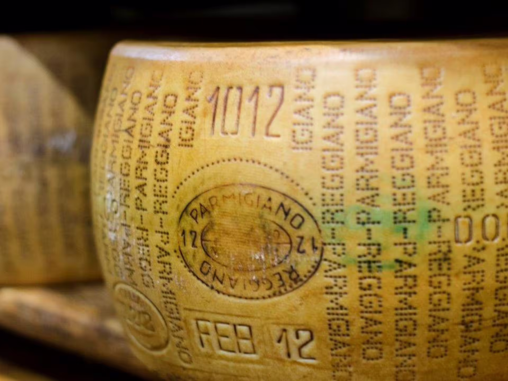 Close-up of Parmigiano Reggiano DOP wheel stamp on a Modena Parmesan cheese tour and tasting