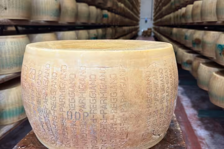 Close-up of a large wheel of Parmigiano-Reggiano in a maturation room, emphasizing traditional Italian craftsmanship.