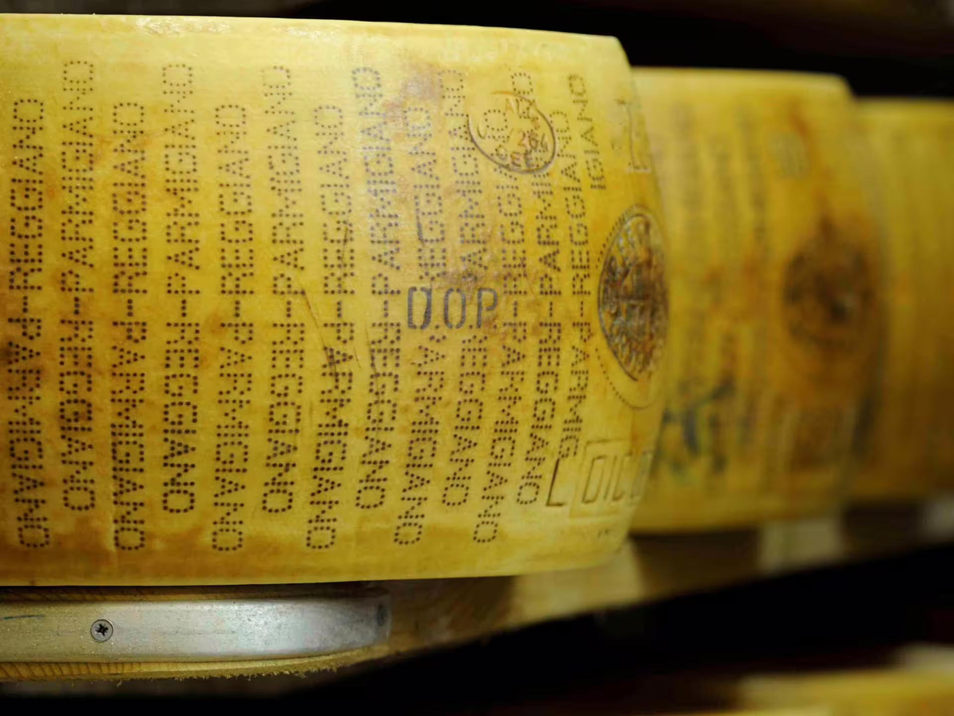 Close-up of Parmigiano Reggiano wheels aging on shelves during Modena Food Tour, showcasing authentic Italian cheese.
