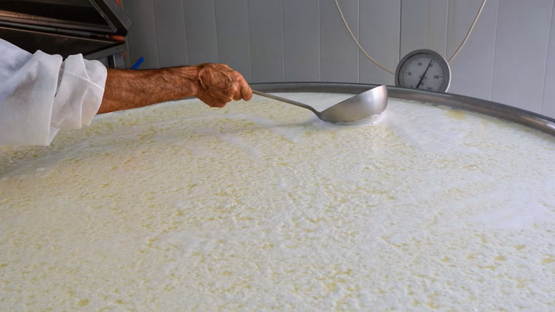 Artisan stirring milk in a large vat at Pattada cheese factory during guided artisanal cheese tour.