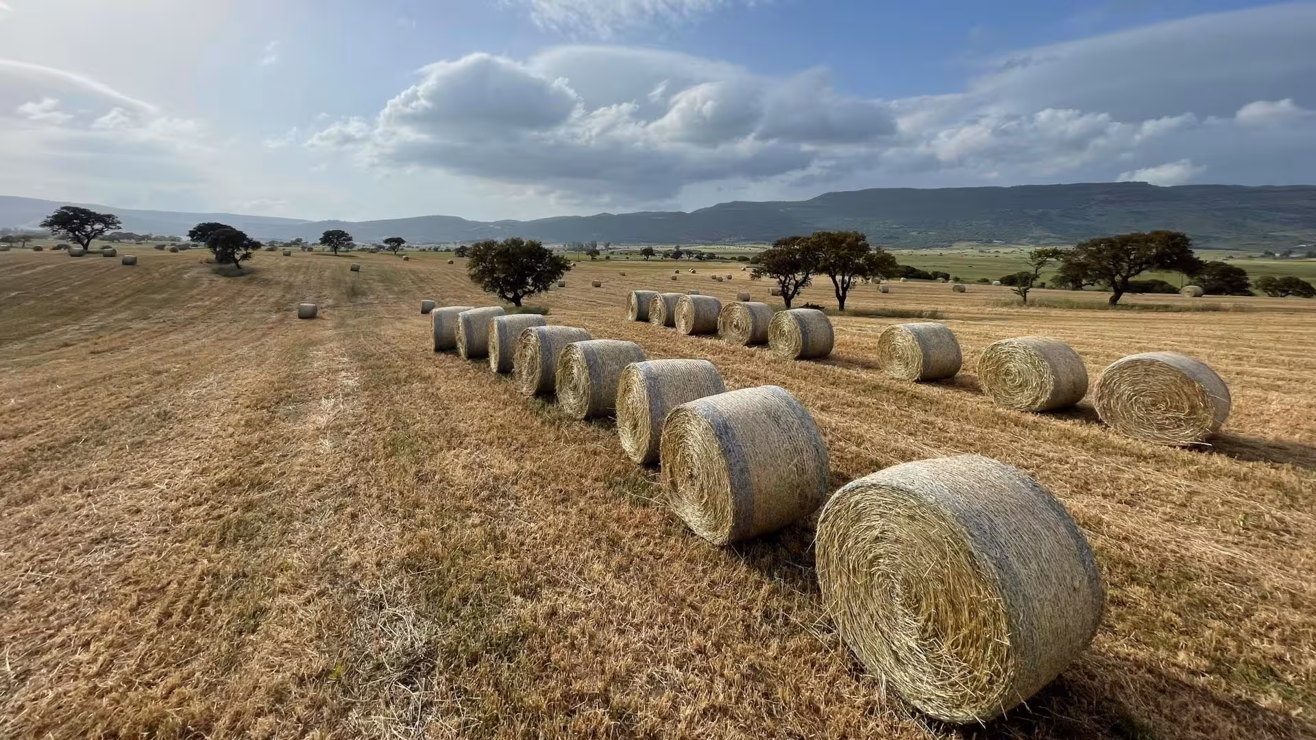 Picturesque Pattada landscape with hay bales, ideal backdrop for a cheese factory visit and tasting experience.