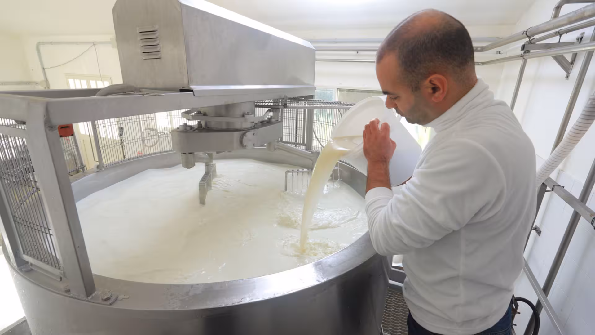 Cheesemaker pouring milk into a large vat at Pattada cheese factory in Sardinia for artisanal production.
