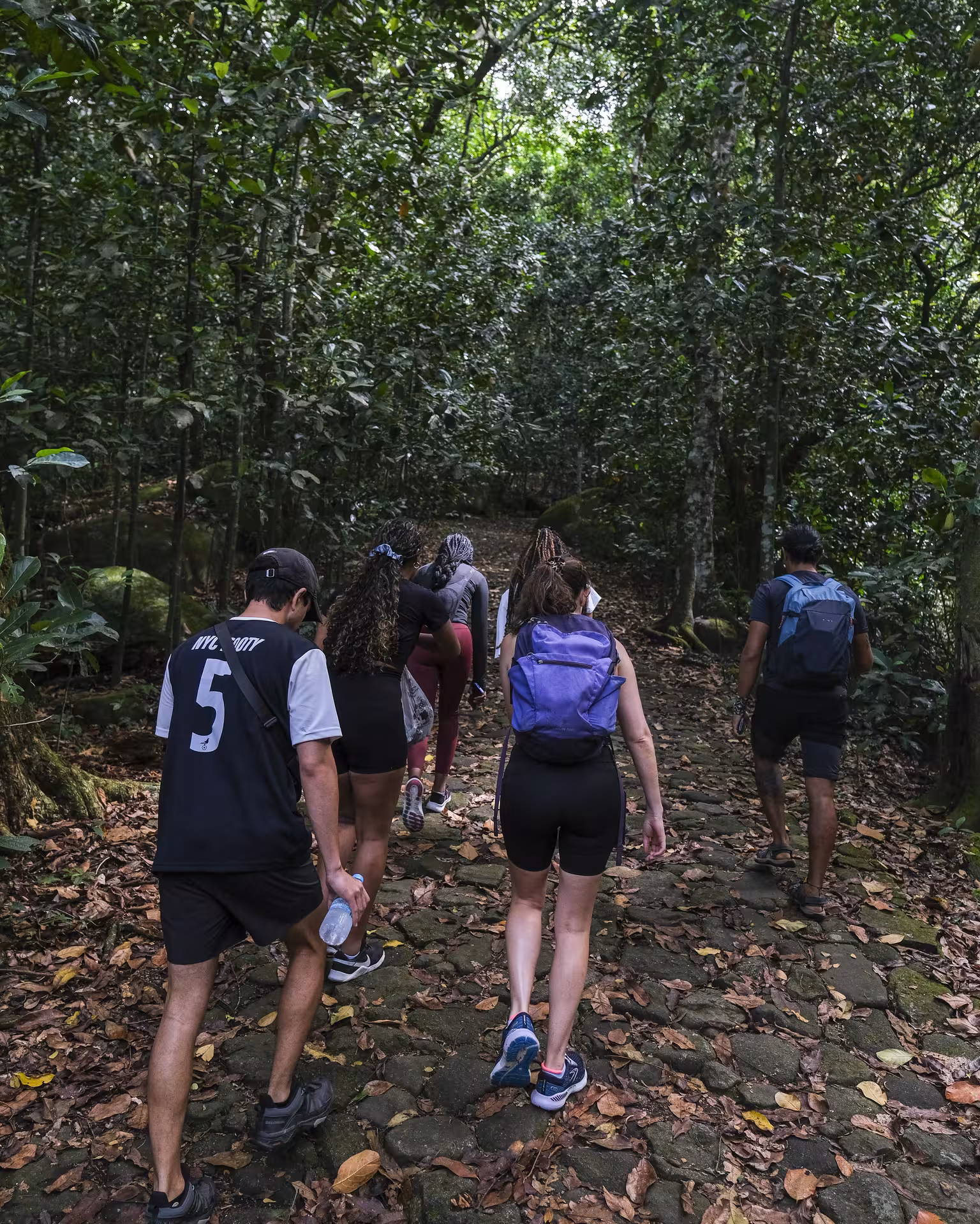 Hiking group trekking through dense forest on the Trilha Pedra da Gávea trail in Rio de Janeiro.