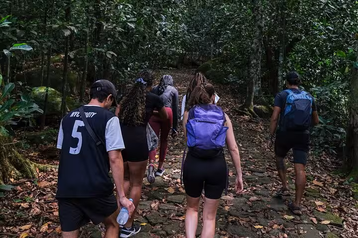 Hikers walking through the dense forest on the Pedra da Gávea trail, experiencing the natural beauty of Garganta do Céu.