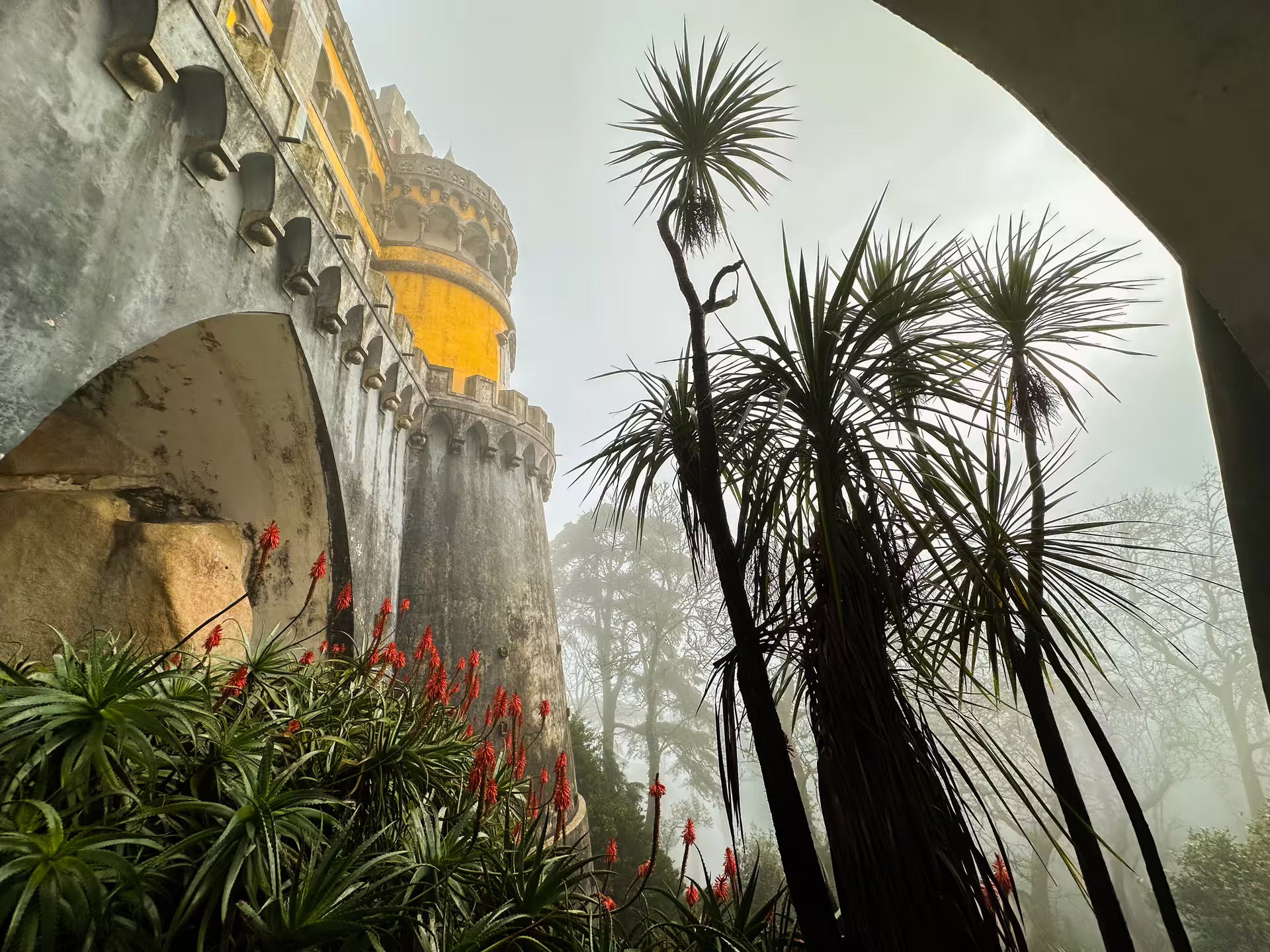 Dramatic view of Pena Palace's vibrant architecture framed by lush foliage, Sintra tour highlight.