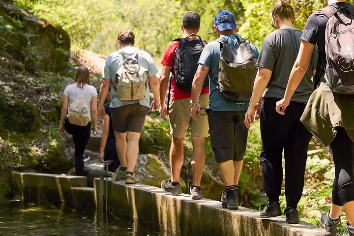 Hikers walking along a narrow path through dense forest in Peneda-Gerês National Park.