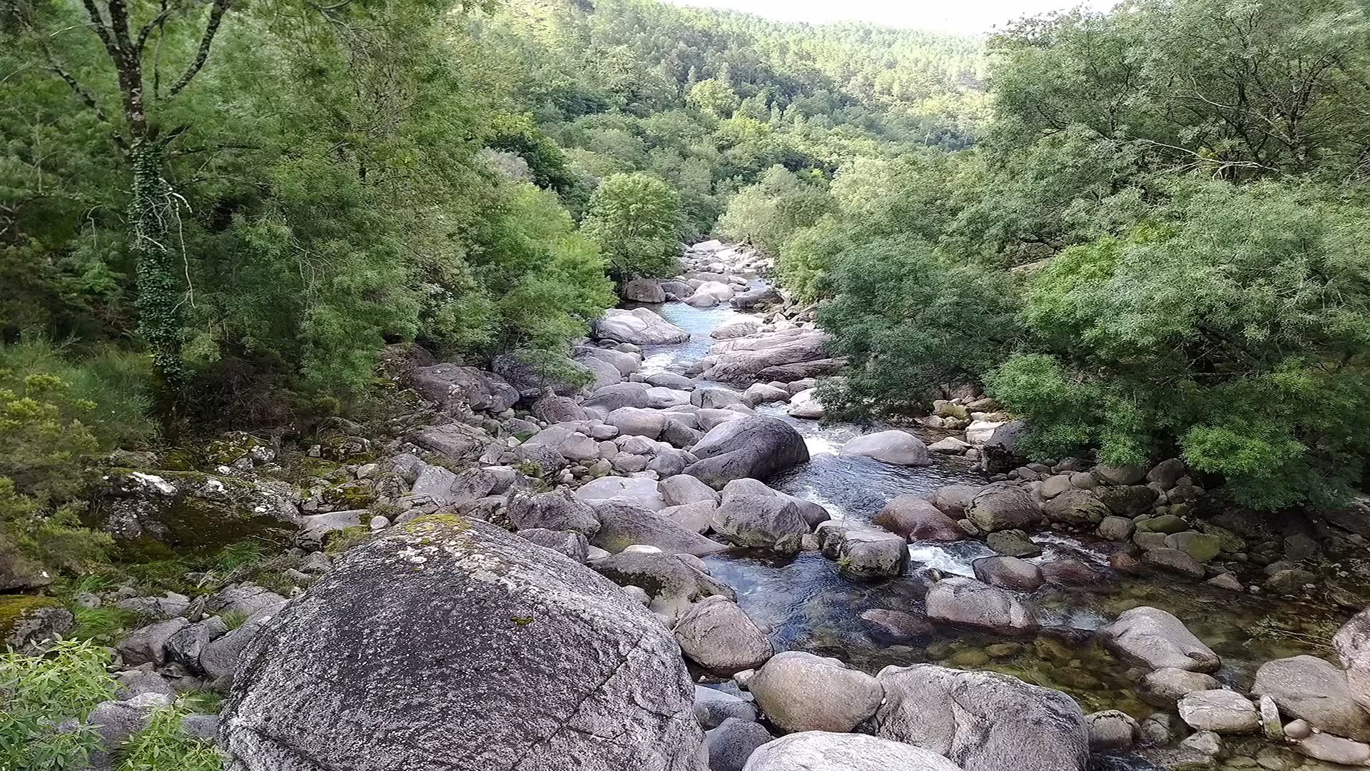 Scenic river flowing through lush forest and rocky terrain in Peneda-Gerês National Park, ideal for nature enthusiasts.