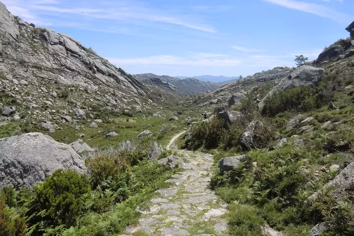 Stone path winding through rugged landscapes of Peneda Geres National Park on a private tour from Porto.