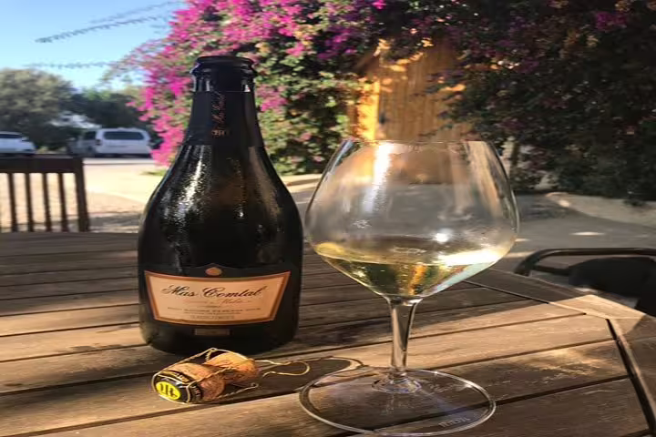 Bottle of white wine and glass on a rustic table in Penedés, showcasing the region's exquisite wine tasting experience.