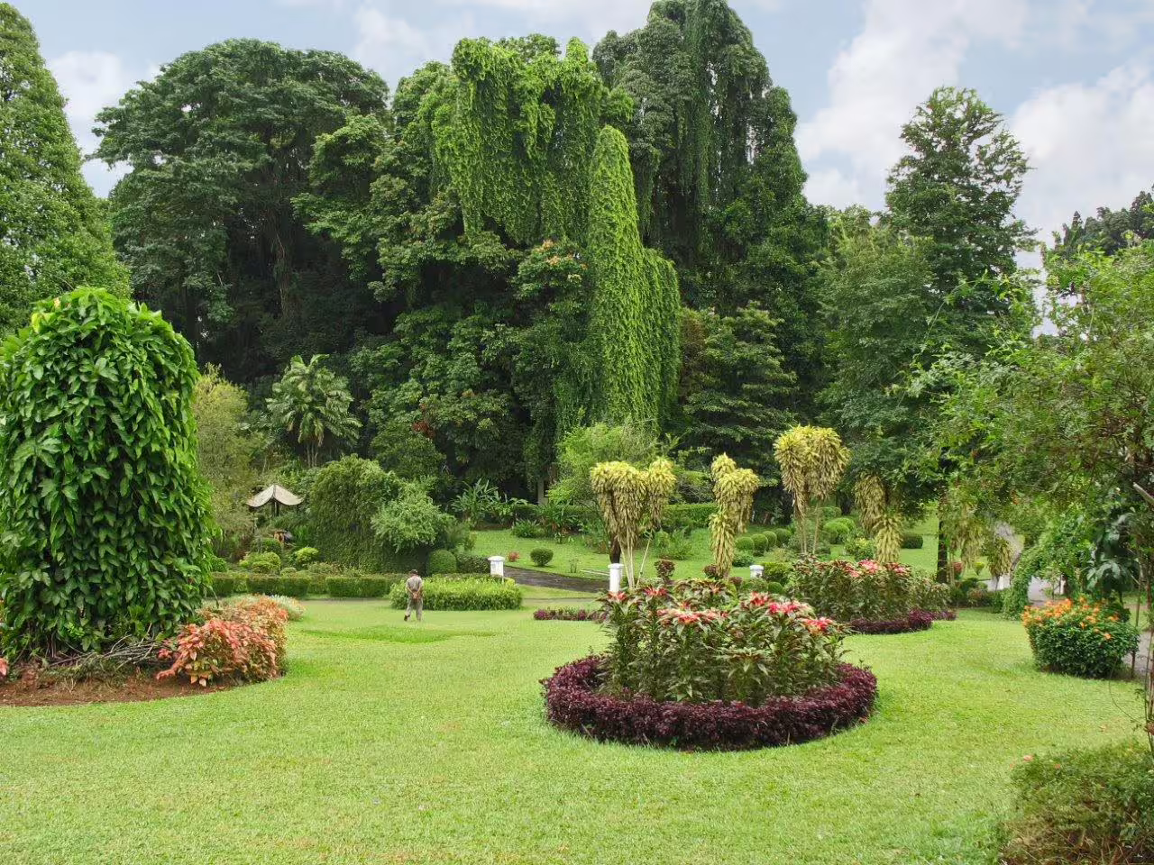 Lush greenery and manicured landscapes in Peradeniya Botanical Gardens, ideal for a serene Sri Lanka tour.