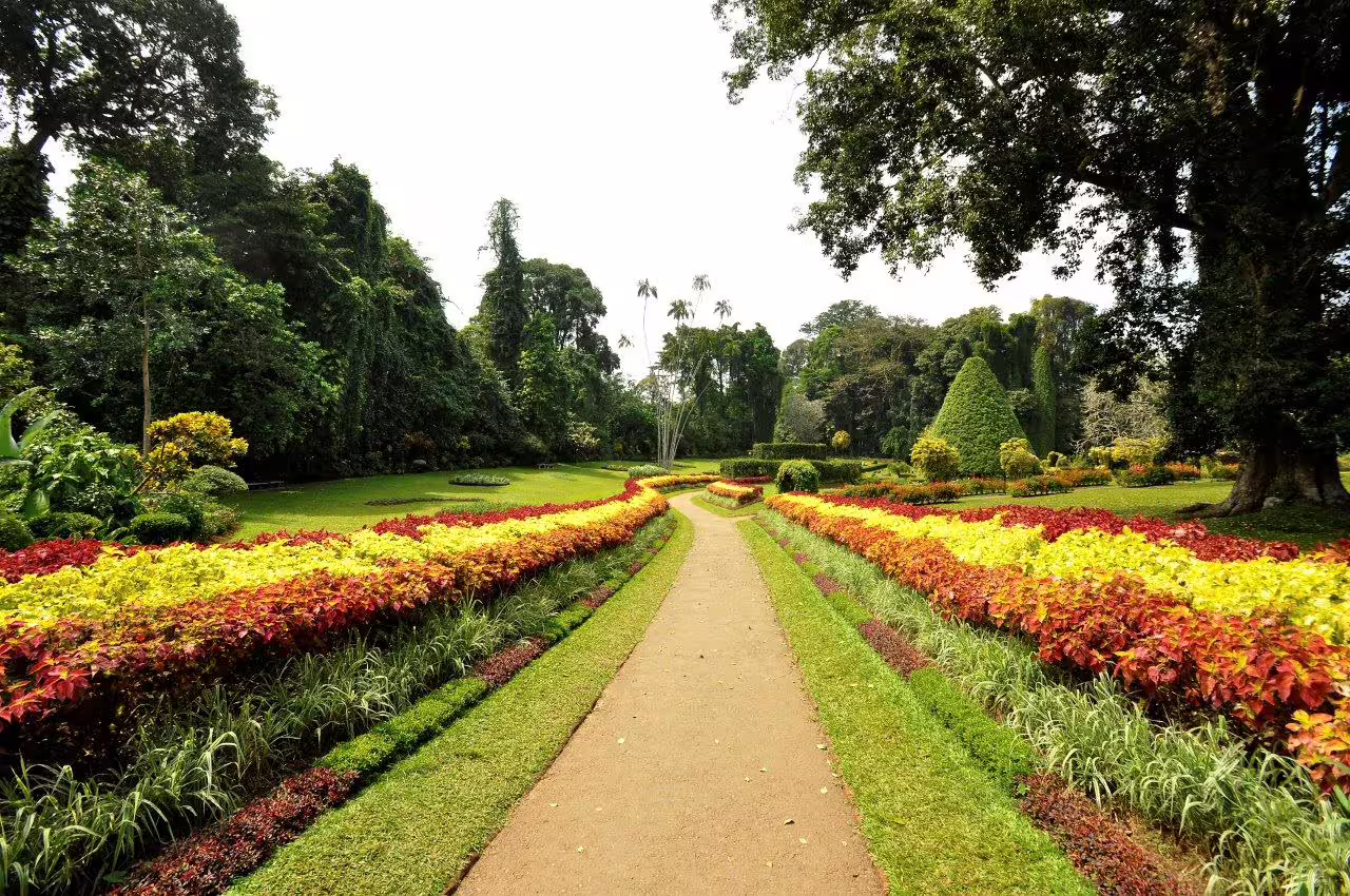 Vibrant flower-lined pathway in Peradeniya Botanical Gardens, showcasing tropical beauty on a Sri Lanka private tour.