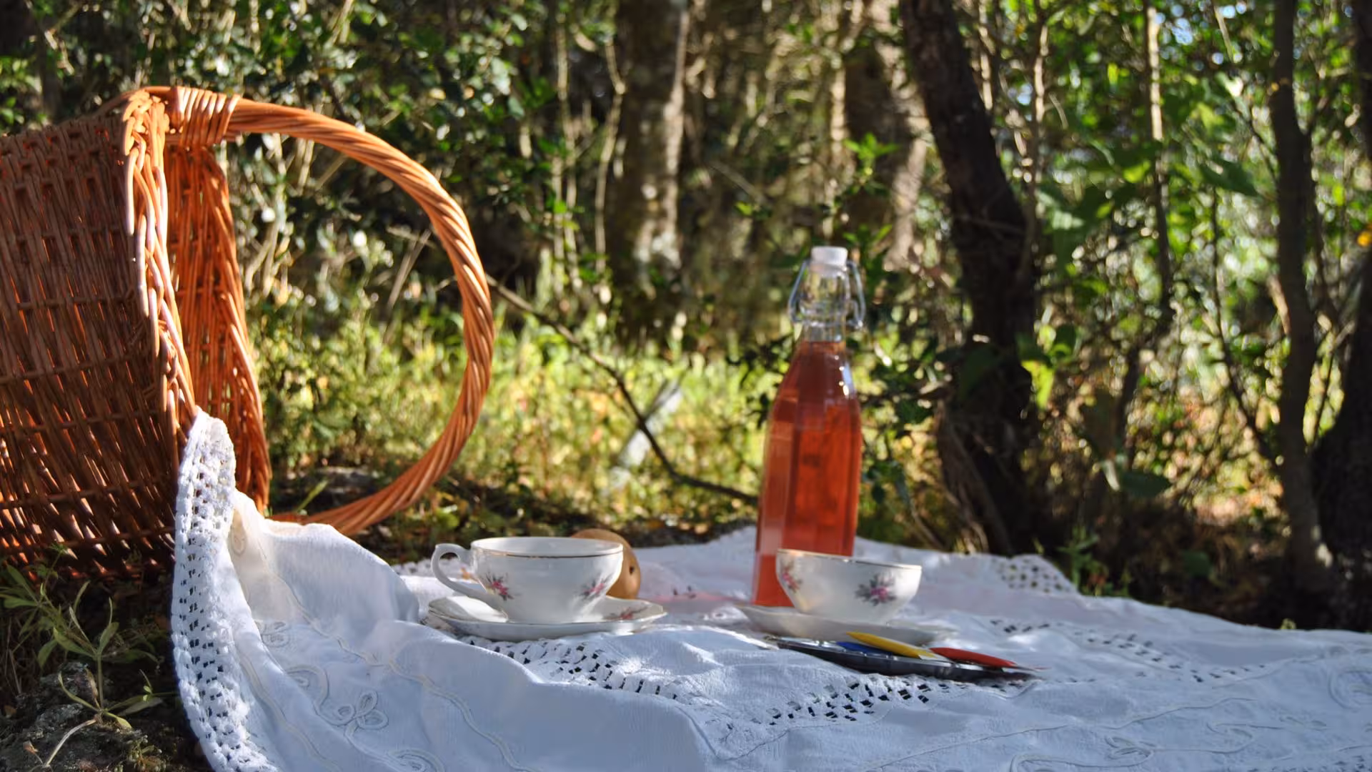 Rustic picnic setup with tea cups and herbal drink in tranquil Perfugas forest setting.