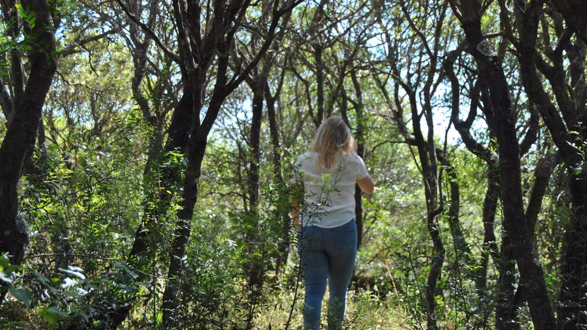 Person exploring the lush greenery of Perfugas forest, experiencing a peaceful mindfulness walk among trees.
