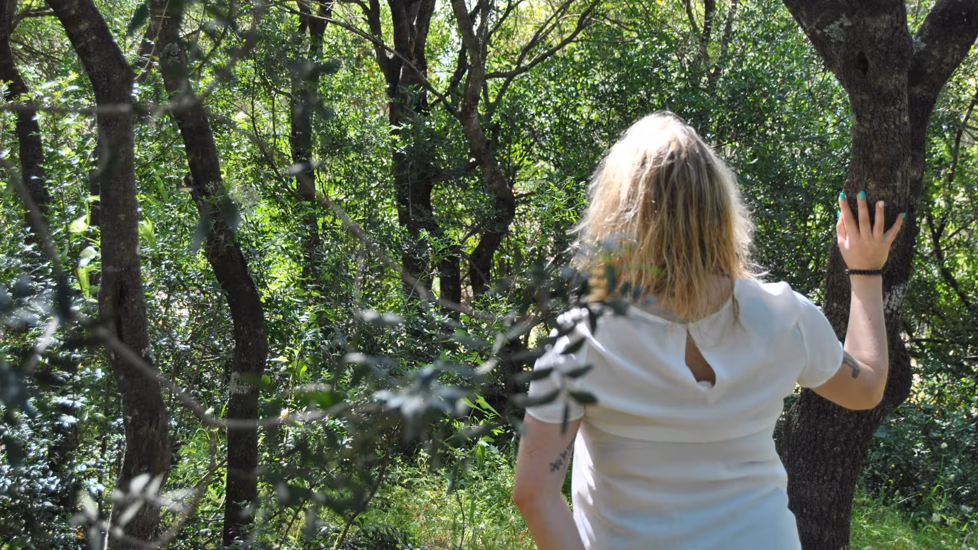 Individual connecting with nature by touching a tree, immersed in the tranquil forest environment of Perfugas.