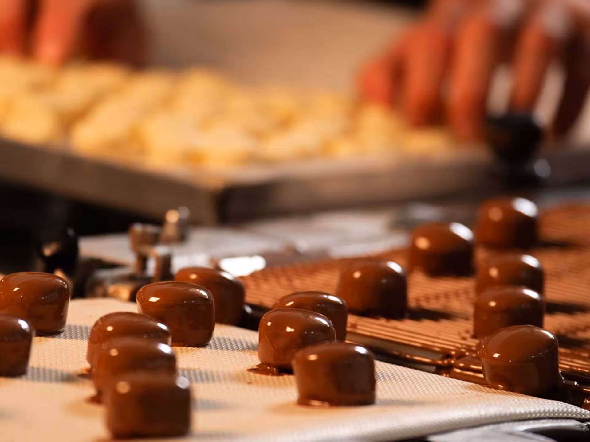 Freshly coated chocolates on a conveyor belt during the Perugia factory tour, showcasing the artisanal production process.