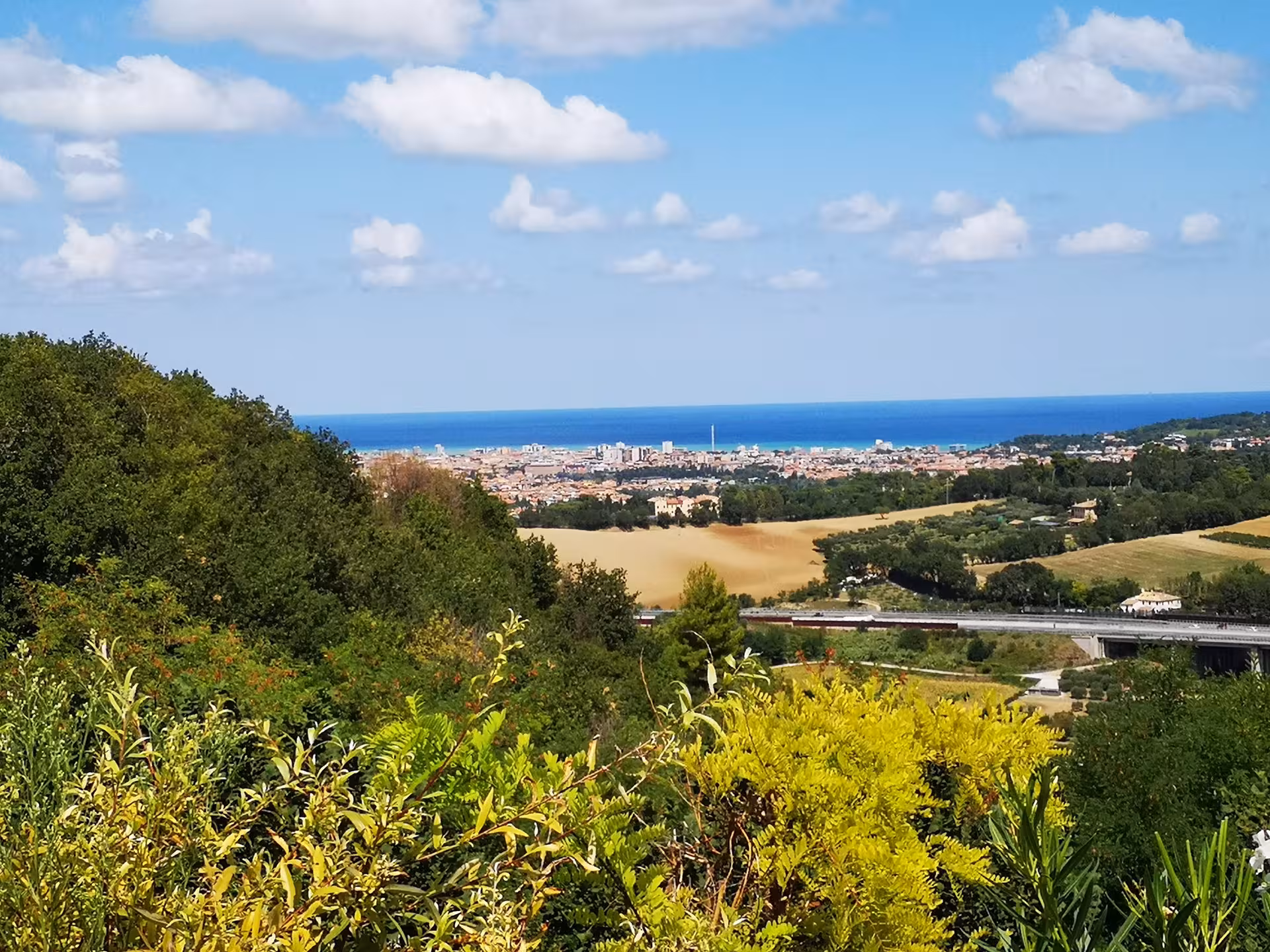 Scenic view of Pesaro countryside and Adriatic Sea from a lush farm, ideal for nature tours.